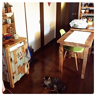 女性の、3DK、の「部屋全体」についてのインテリア実例