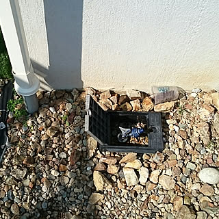 Diy 水道工事のインテリア 手作りの実例 Roomclip ルームクリップ