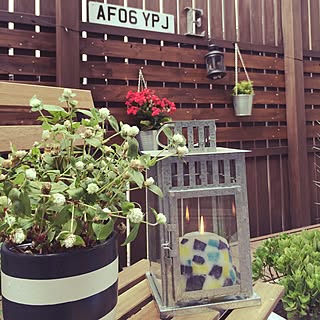 手作りハンギングプランターのインテリア実例 Roomclip ルームクリップ