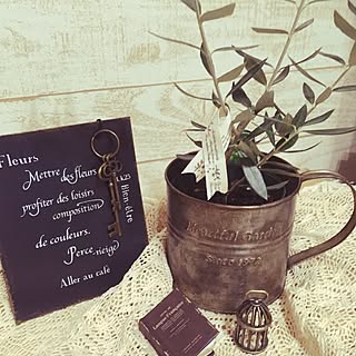 バス/トイレ/プレート/オリーブの木/バス/トイレではありません。/2017.5.6...などのインテリア実例 - 2017-05-06 21:13:54