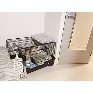 フェレットのインテリア実例 Roomclip ルームクリップ