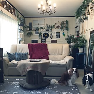部屋全体/ケーブルドラム/いつもいいねやコメありがとうございます♡/いいね!押し逃げばかりでごめんなさい。/ペットと暮らす家...などのインテリア実例 - 2017-05-17 16:03:59