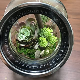 ダイソー 手作りプレゼントのインテリア実例 Roomclip ルームクリップ