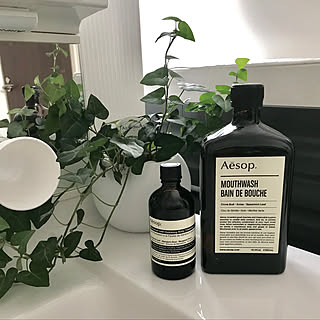 バス/トイレ/ハートアイビー/ボディトリートメント/マウスウォッシュ/Aesop...などのインテリア実例 - 2017-12-27 11:34:51