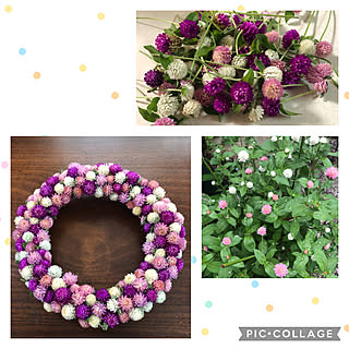 ドライフラワー 白い花のおしゃれなアレンジ 飾り方のインテリア実例 Roomclip ルームクリップ