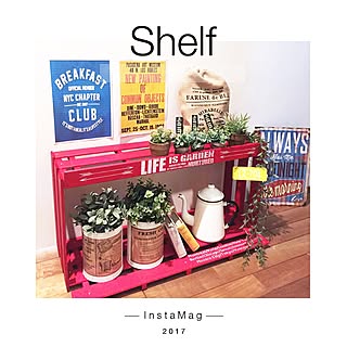 玄関/入り口/観葉植物置き場/すのこ棚/すのこ/観葉植物...などのインテリア実例 - 2017-03-28 05:33:01