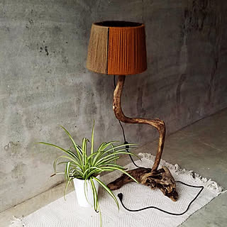 キッチン/流木ランプ/DIYのインテリア実例 - 2020-01-24 21:38:12