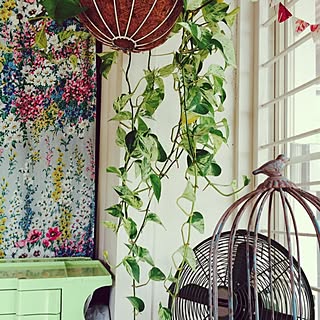 観葉植物 和室改装のインテリア実例 Roomclip ルームクリップ