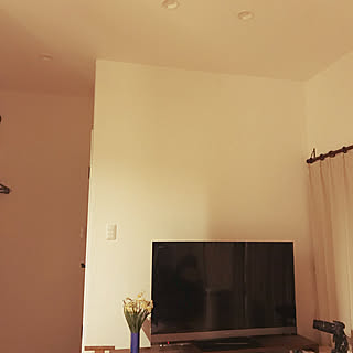 壁/天井/漆喰壁/SONY/プロジェクター/レンタルキャンペーン応募...などのインテリア実例 - 2018-02-06 23:52:37