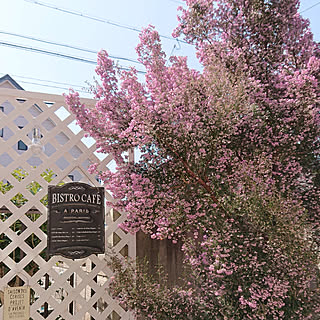 ジャノメエリカのインテリア実例 Roomclip ルームクリップ