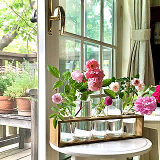 リビング 庭の花を生けるのインテリア実例 Roomclip ルームクリップ