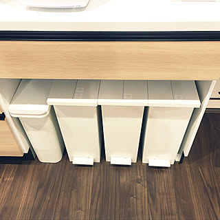 ゴミ箱 タカラスタンダードのインテリア実例 Roomclip ルームクリップ