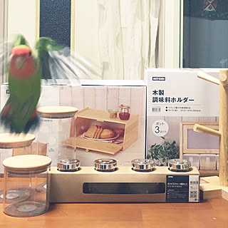 机/ニトリ2017キッチン収納モニター/キッチン収納/ニトリ/いつもいいね!押し逃げごめんなさい...などのインテリア実例 - 2017-11-28 20:31:09