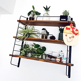 ぷよぷよボールのインテリア実例 Roomclip ルームクリップ