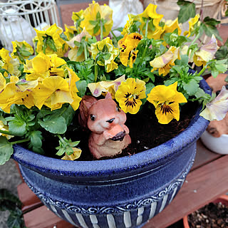 カインズホーム ガーデニング雑貨の商品を使ったおしゃれなインテリア実例 Roomclip ルームクリップ