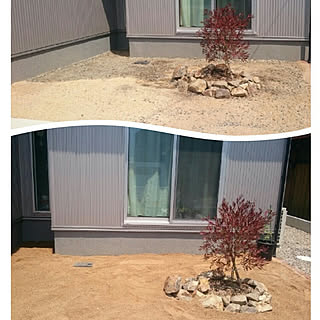玄関/入り口/観葉植物のある暮らし/愛犬と暮らす家/ガルバの外壁/ネオスパンプレミアム...などのインテリア実例 - 2019-05-11 12:20:43