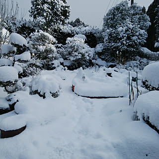 バス/トイレ/雪景色***/家の庭/狭いながらも楽しい我が家♪/見てくれた方々有難うございます♬...などのインテリア実例 - 2018-02-13 09:36:48