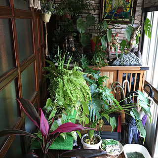 ハートカズラ のインテリア実例 Roomclip ルームクリップ