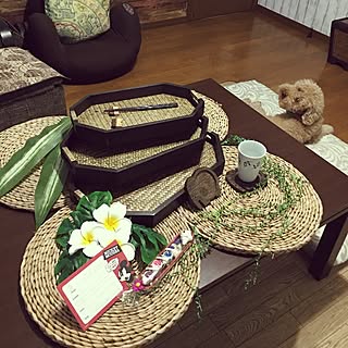 机/RCの出会いに感謝♡/2017.6.23/やっぱり!ロン!/€•u•€パオーン...などのインテリア実例 - 2017-06-23 08:10:16
