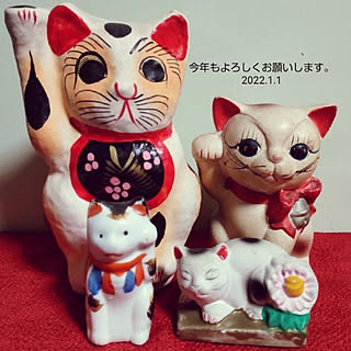 眠り猫のインテリア実例 Roomclip ルームクリップ