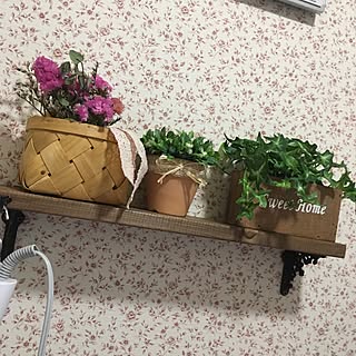 バス/トイレ/ダイソー/ウォールシェルフのディスプレイ/フェイクグリーン/アクセント壁紙...などのインテリア実例 - 2017-05-20 09:07:06