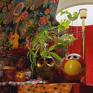 棚 キョロちゃんのインテリア実例 Roomclip ルームクリップ