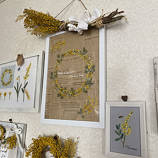 ミモザの押し花のインテリア実例 Roomclip ルームクリップ