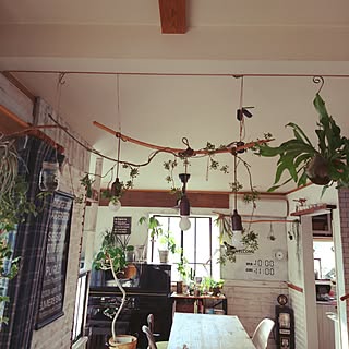 壁/天井/漆喰/観葉植物のある部屋/セルフリノベーション✩*॰¨̮/いいね!ありがとうございます♪...などのインテリア実例 - 2017-05-01 16:29:03