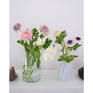 花と暮らす/心浮き立つ春の花/暮らしに花を/癒しの空間/ゼラニウム...などのインテリア実例 - 2020-02-20 09:27:49