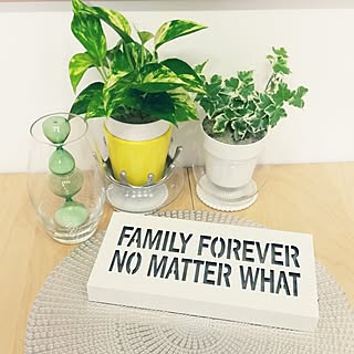 観葉植物 コメリのインテリア実例 Roomclip ルームクリップ