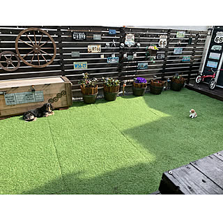 ダイソー 犬の置物のインテリア実例 Roomclip ルームクリップ ダイソー 犬の置物のインテリア実例 Roomclip ルームクリップ