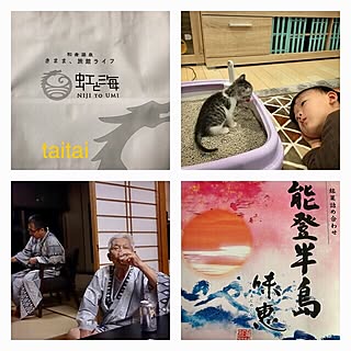 机/三角ラグ/taitaiペットホテル/預かり猫キティ/お土産いただきました...などのインテリア実例 - 2016-10-19 15:16:59