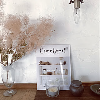 Come home!/雑誌掲載/セルフリノベーション/暮らしを楽しむ/いいね！ありがとうございます♪...などのインテリア実例 - 2020-02-21 12:39:22