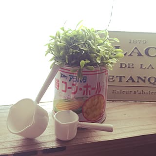 キッチン/昨夜の地震で寝不足だ~!/みーつけた(o^^o)/築30年貸家/インテリアじゃなくてすみません...などのインテリア実例 - 2017-03-03 14:40:06
