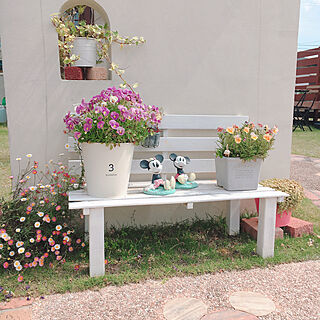 寄せ植え アイビーのインテリア実例 Roomclip ルームクリップ