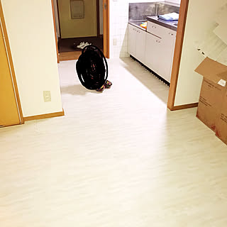 キッチン/白 ジョイントマット/ジョイントマット木目調/木目調ジョイントマット/団地生活...などのインテリア実例 - 2018-03-18 21:29:47