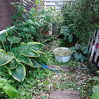 玄関/入り口/北側通路/通路/庭/小庭...などのインテリア実例 - 2019-06-03 22:04:17