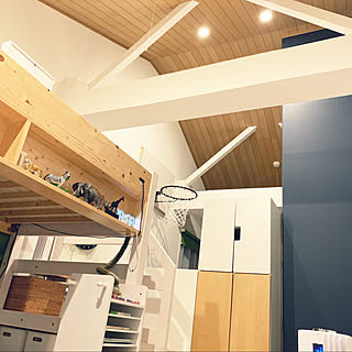 バスケットゴールdiyのインテリア 手作りの実例 Roomclip ルームクリップ