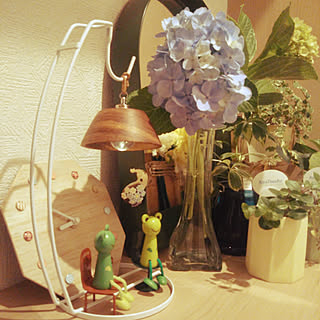 セリア かたつむりのインテリア実例 Roomclip ルームクリップ