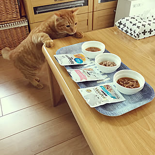 モンプチのインテリア実例 Roomclip ルームクリップ