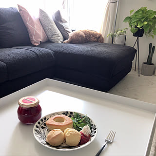 クチポールゴア/成城石井/salut!のセメント鉢500円/コメントお気遣いなくです❤︎/いいねやフォローありがとうございます❤︎...などのインテリア実例 - 2018-04-01 10:54:32