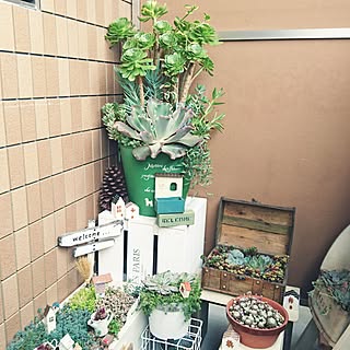 棚/ガーデン雑貨/ベランダガーデニング/朝の風景/可愛いものだいすき♪...などのインテリア実例 - 2017-06-18 08:08:20