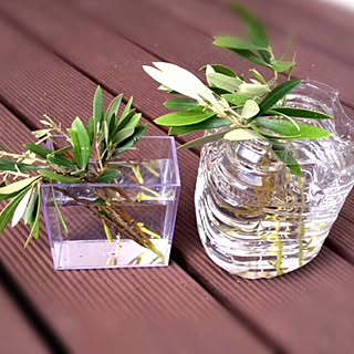 玄関/入り口/ペットボトルのフラワーベース/デッキテラス/観葉植物/お花のインテリア実例 - 2017-05-22 20:11:22