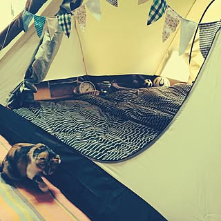 テント生活のインテリア実例 Roomclip ルームクリップ