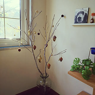 枯れ枝ツリーのインテリア実例 Roomclip ルームクリップ