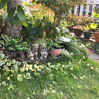 ツルニチニチソウ ヤブランのインテリア実例 Roomclip ルームクリップ