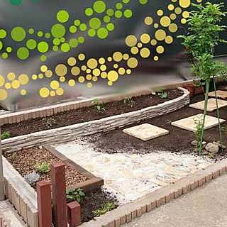 家庭菜園 花壇diyのインテリア 手作りの実例 Roomclip ルームクリップ 家庭菜園 花壇diyのインテリア 手作りの実例 Roomclip ルームクリップ