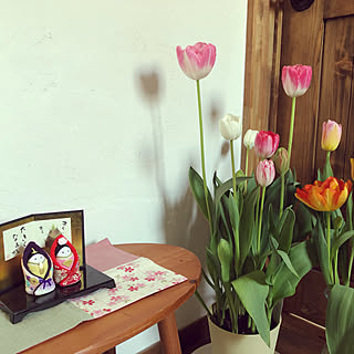 チューリップ/玄関/入り口のインテリア実例 - 2020-02-24 17:19:18
