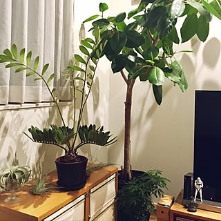 棚/キセログラフィカ/フォロワーさん200人超えました♡/カメラマークと共存/RCでの出会いに感謝です♡...などのインテリア実例 - 2017-06-29 21:20:17