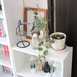 棚/観葉植物/マンションインテリア/100均/美術館でGET...などのインテリア実例 - 2017-10-10 09:01:58
